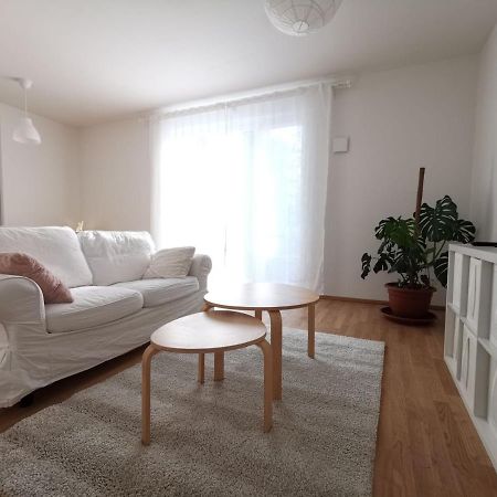 Gemuetliches Privatzimmer In Geraeumiger Gemeinschaftswohnung ドレスデン エクステリア 写真