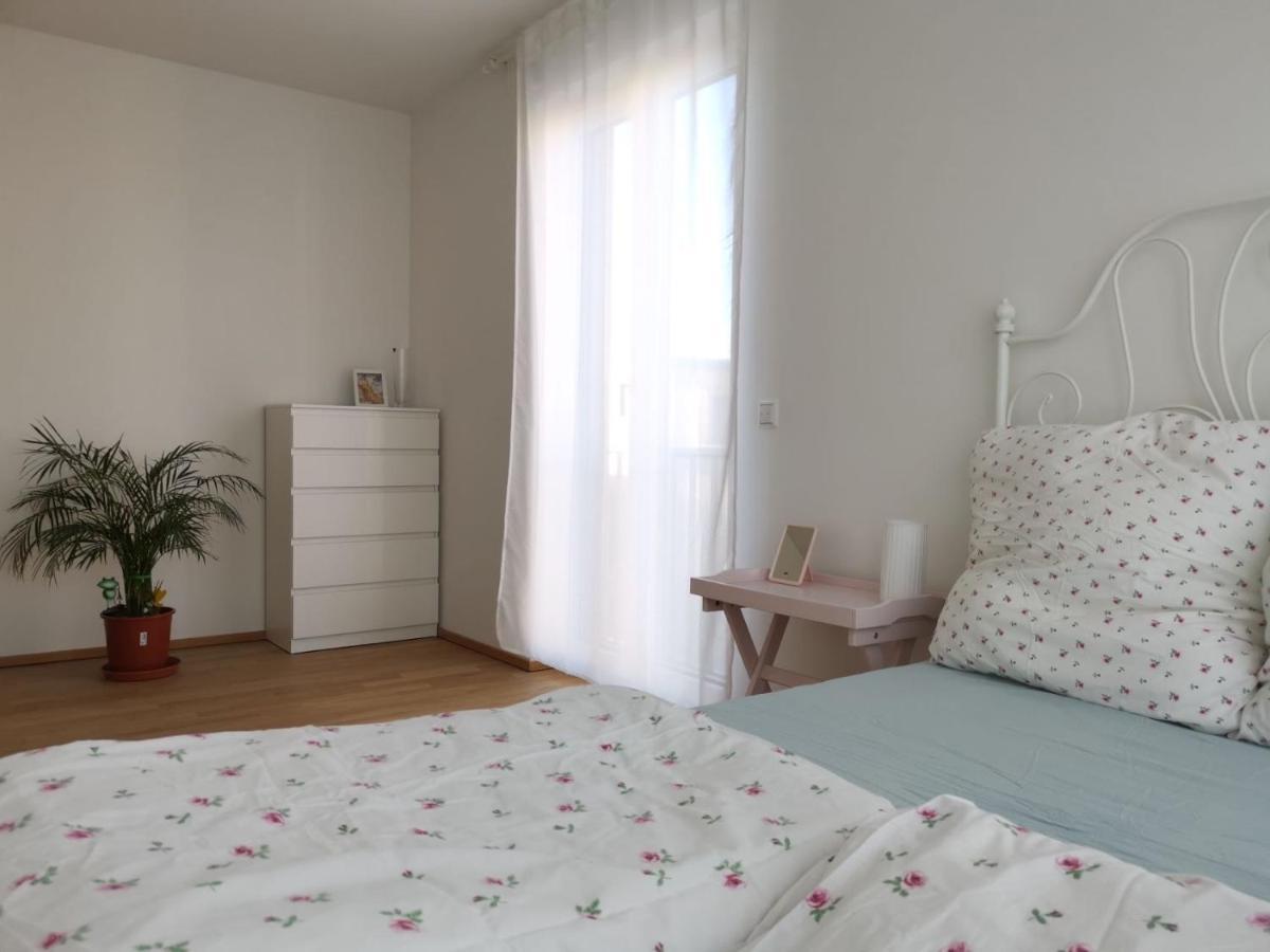 Gemuetliches Privatzimmer In Geraeumiger Gemeinschaftswohnung ドレスデン エクステリア 写真