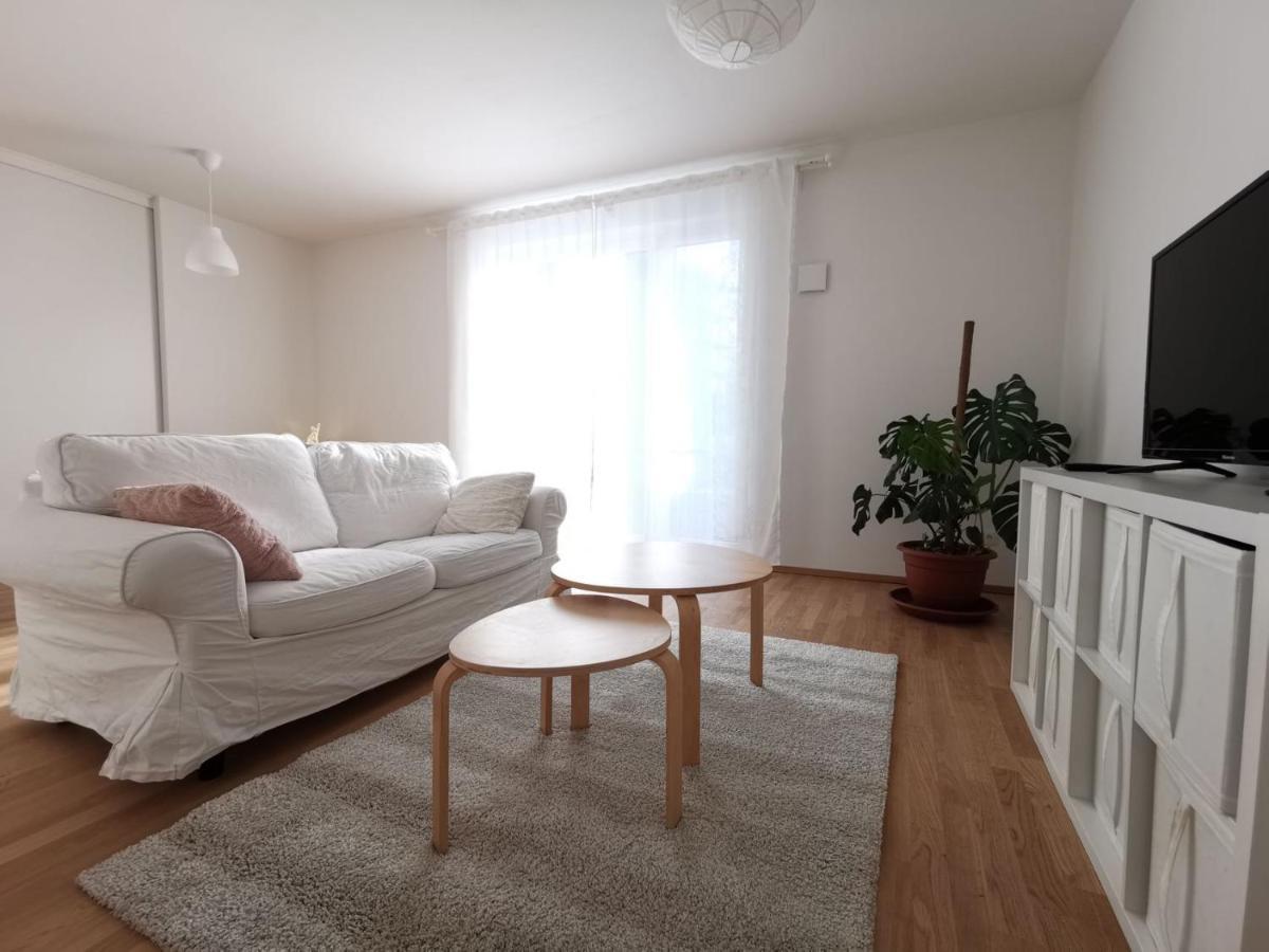 Gemuetliches Privatzimmer In Geraeumiger Gemeinschaftswohnung ドレスデン エクステリア 写真