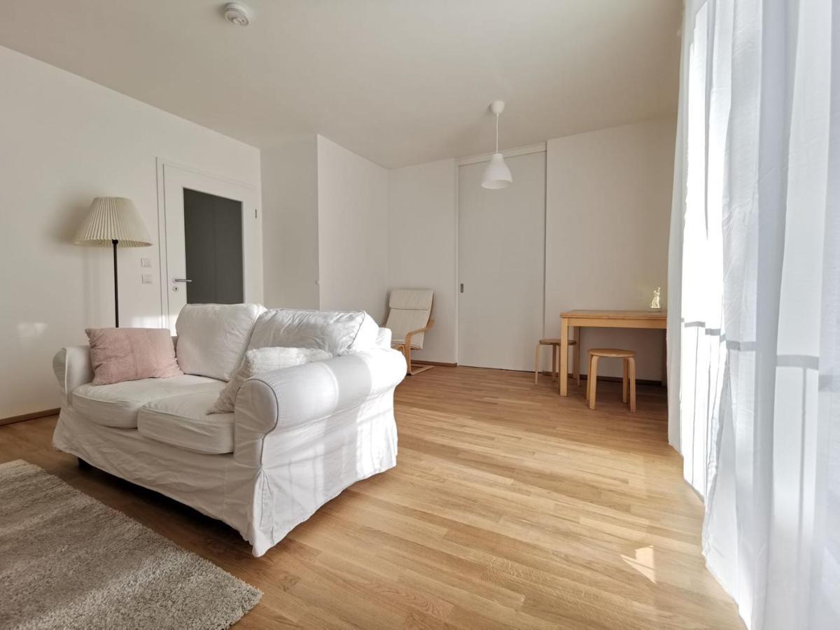 Gemuetliches Privatzimmer In Geraeumiger Gemeinschaftswohnung ドレスデン エクステリア 写真